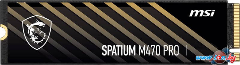 SSD MSI Spatium M470 Pro 1TB S78-440L0J0-P83 в Могилёве