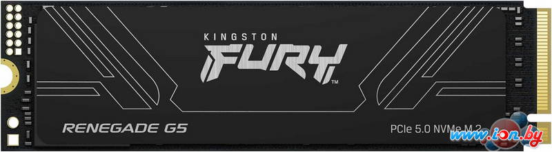 SSD Kingston Fury Renegade G5 1TB SFYR2S/1T0 в Могилёве