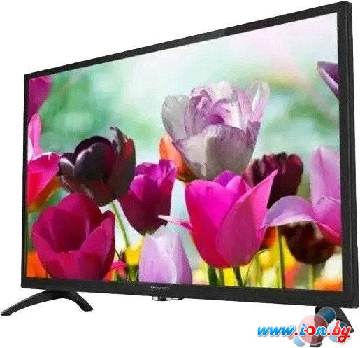 Телевизор Erisson 32LES901T2SM в Могилёве