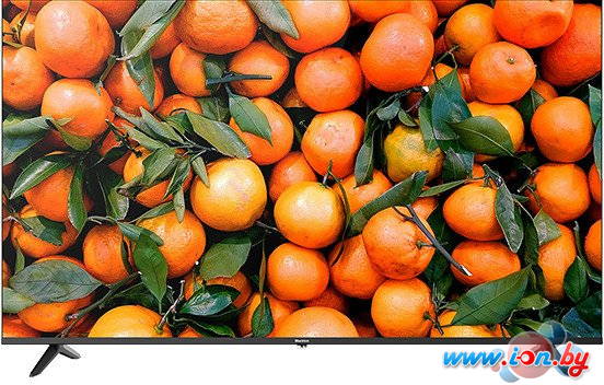 Телевизор Blackton Bt 55FSU34B в Могилёве