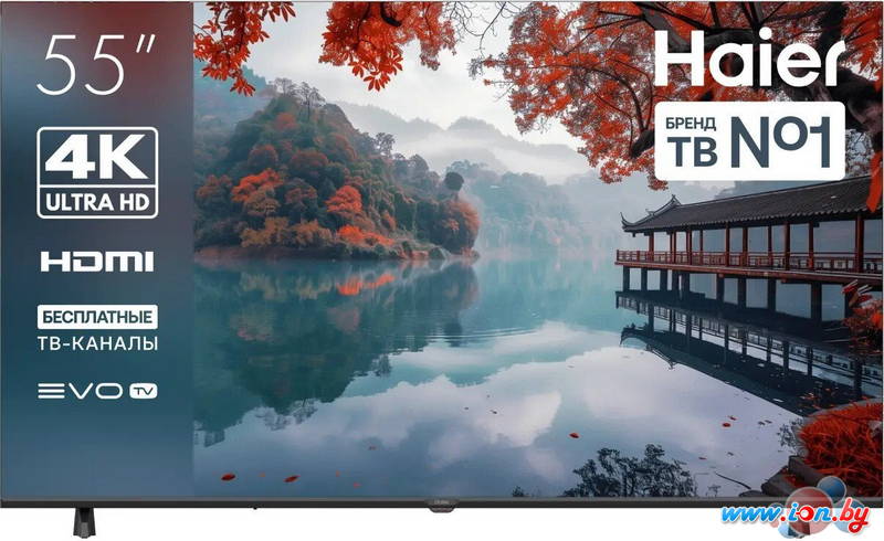 Телевизор Haier 55 LED H1 в Могилёве