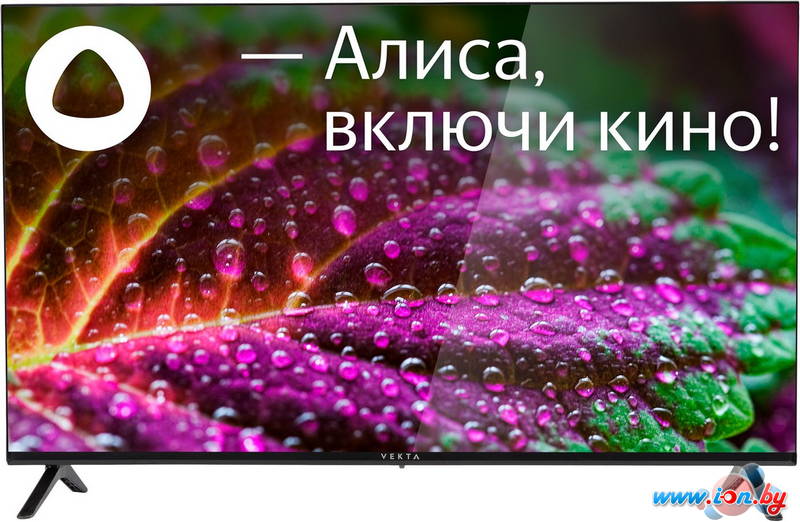 Телевизор Vekta LD-32SR4861BS в Могилёве