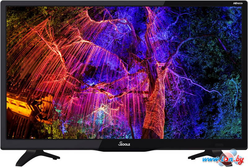Телевизор Scoole SL-LED24S90T2 в Могилёве