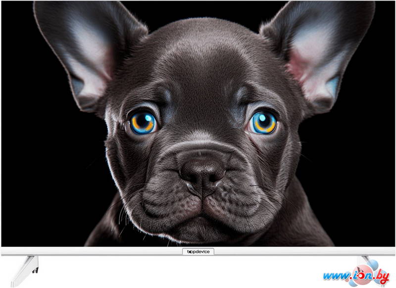 Телевизор Topdevice 24 OS SALUTE TV (белый) в Могилёве