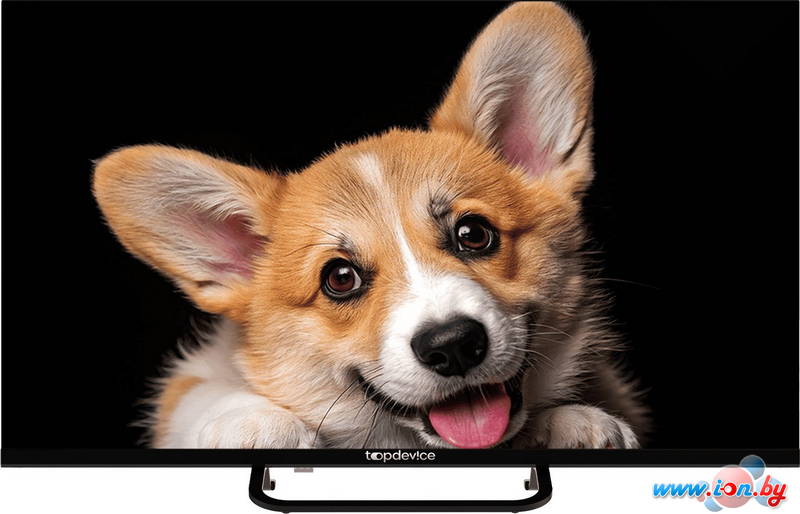 Телевизор Topdevice 32 SMART TV YаOS 03 (черный) в Могилёве