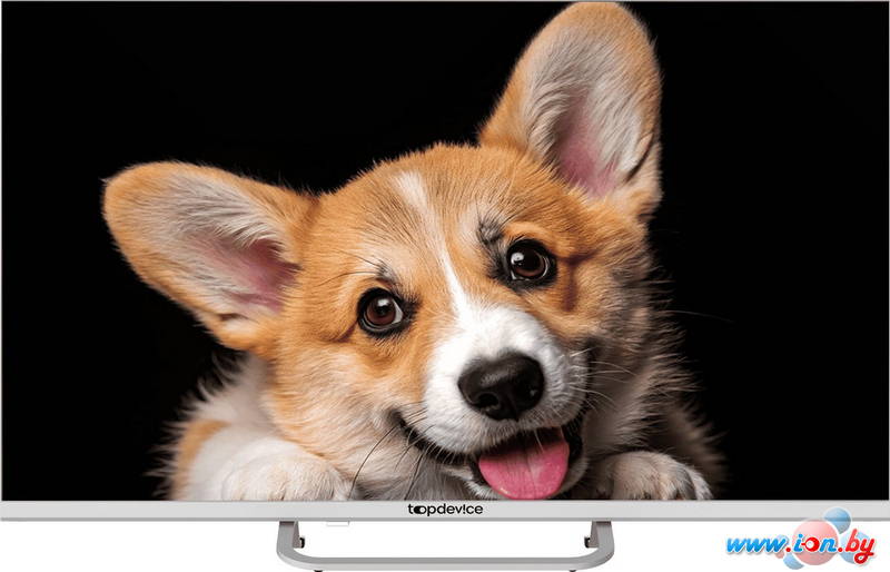 Телевизор Topdevice 32 SMART TV YаOS 03 (белый) в Могилёве