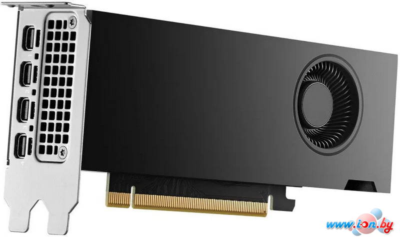 Видеокарта NVIDIA RTX 2000 Ada Generation 16GB GDDR6 900-5G192-2540-000 в Могилёве