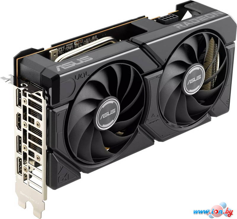Видеокарта ASUS Dual Radeon RX 7600 EVO OC Edition 8GB GDDR6 DUAL-RX7600-O8G-EVO в Могилёве