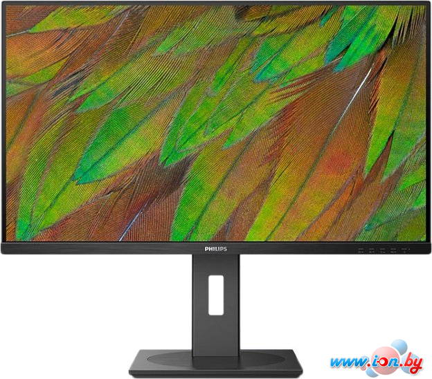 Монитор Philips 32B1N3800/00 в Могилёве