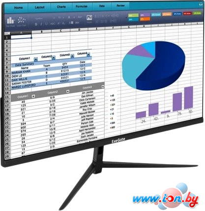 Монитор ExeGate ProSmart EH2407A EX299033RUS в Могилёве