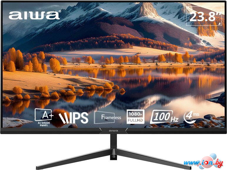 Монитор Aiwa FB-24F100-V1 в Могилёве