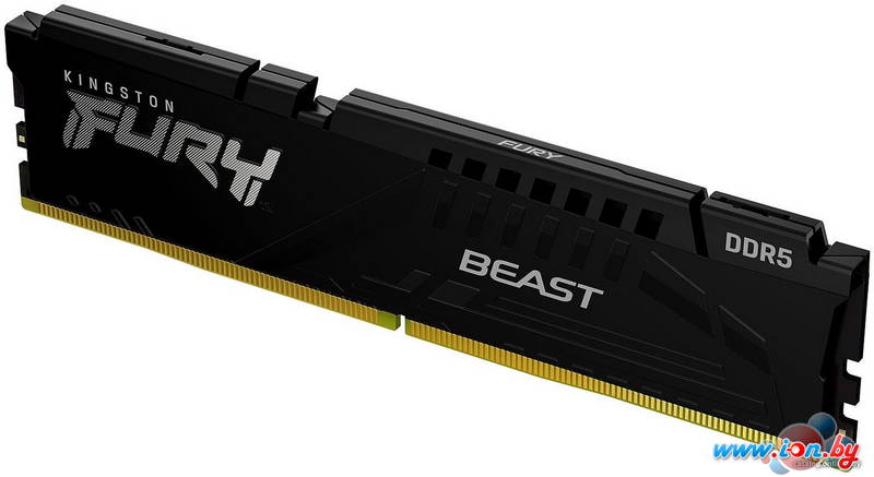 Оперативная память Kingston FURY Beast 32ГБ DDR5 5600 МГц KF556C36BBE2-32 в Могилёве