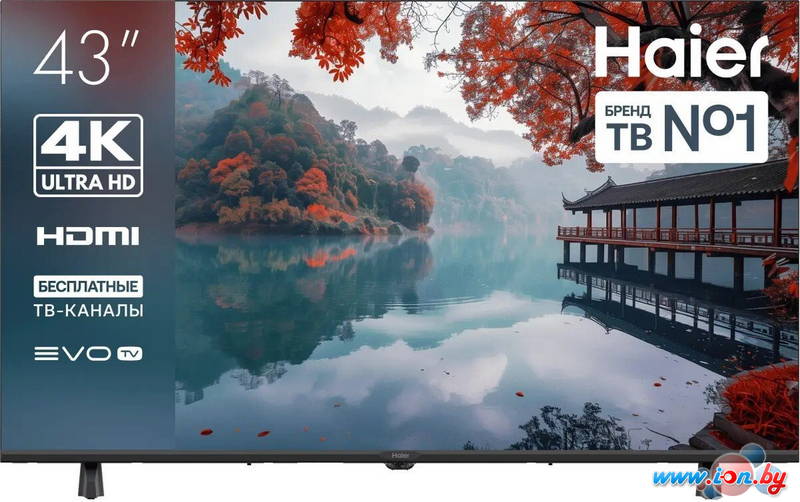 Телевизор Haier 43 LED H1 в Могилёве