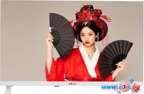 Телевизор AKAI TA24BH502 в Могилёве