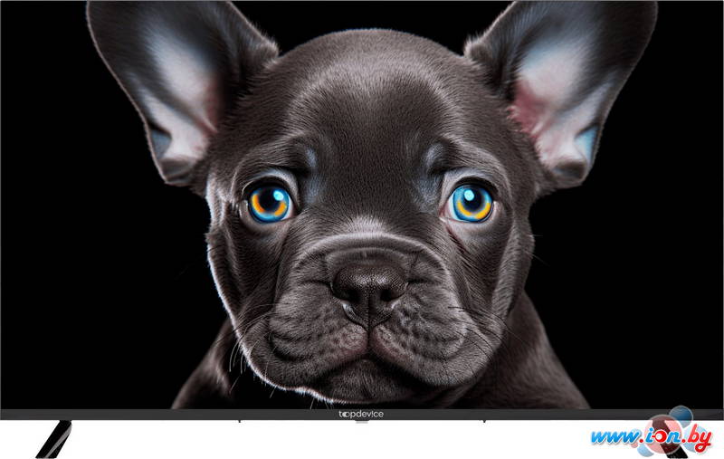 Телевизор Topdevice 43 4K OS SALUTE TV (черный) в Могилёве