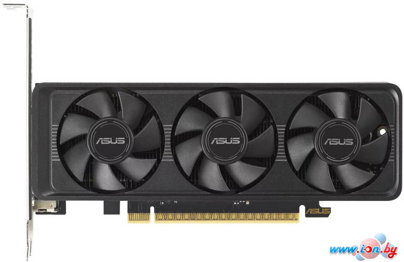 Видеокарта ASUS GeForce RTX 5060 LP BRK 8GB GDDR7 OC Edition RTX5060-O8G-LP-BRK в Могилёве
