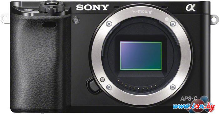 Фотоаппарат Sony Alpha a6000 Body (ILCE-6000) в Витебске