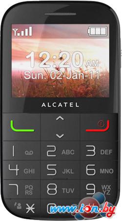 Мобильный телефон Alcatel One Touch 2000X в Могилёве