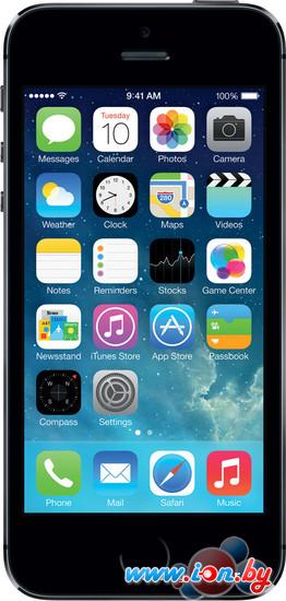 Смартфон Apple iPhone 5s (32GB) в Могилёве